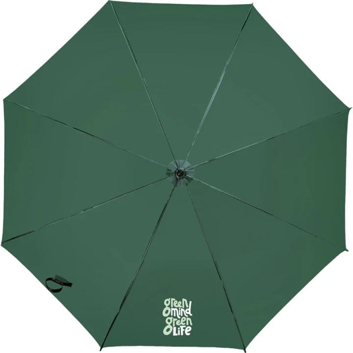 Colorado Automatic Umbrella