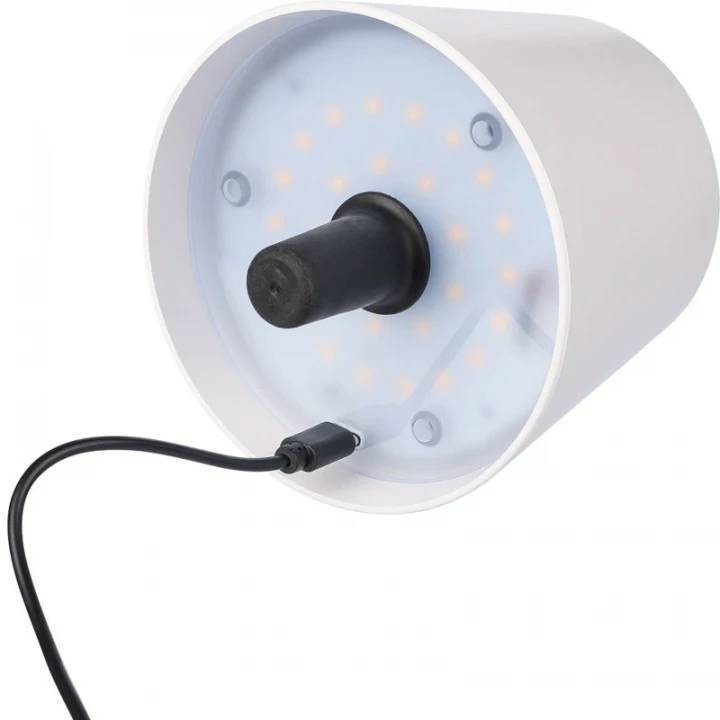 Bottle LED Light