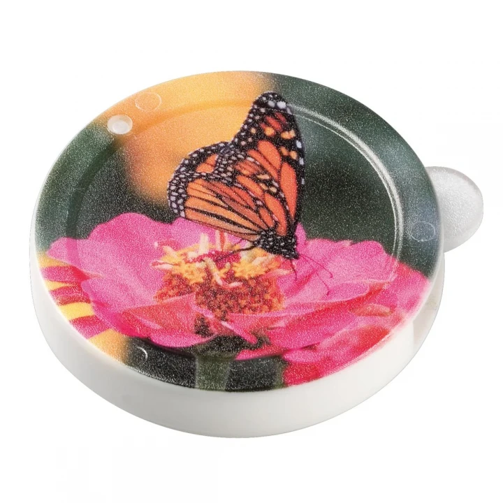 Slide Magnifying Glass