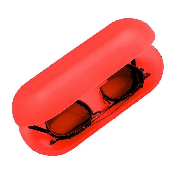 Glasses Case