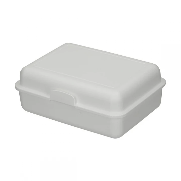 School Lunch Box Large