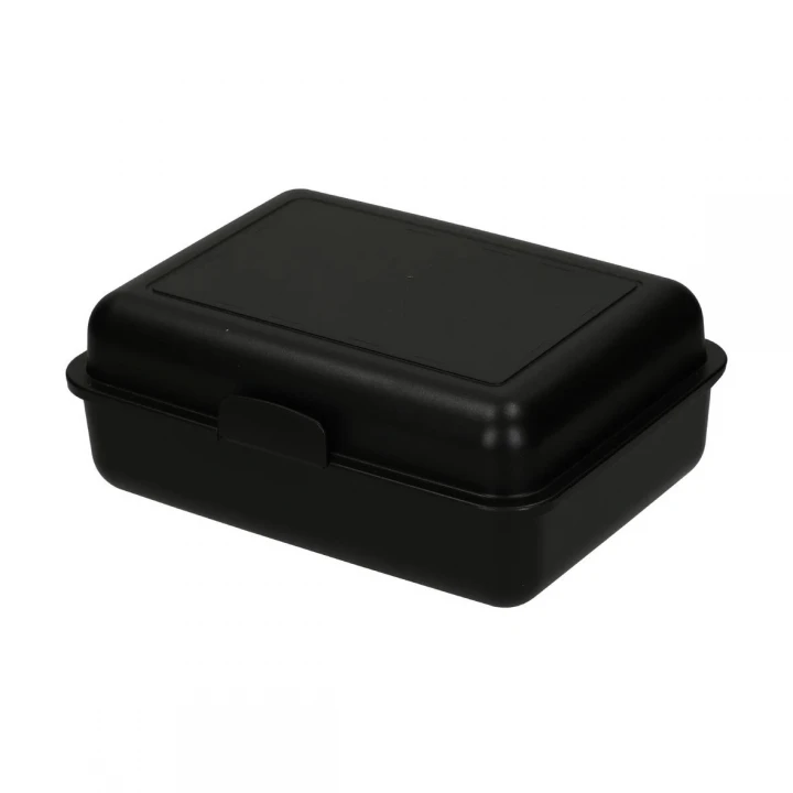 School Lunch Box Large