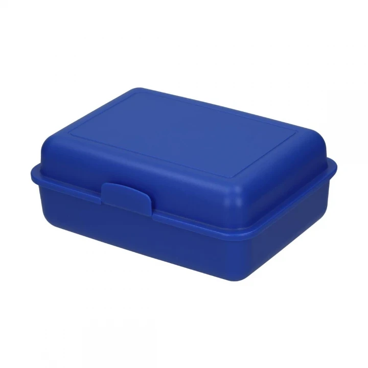 School Lunch Box Large