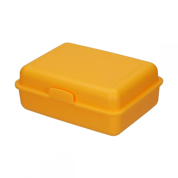 School Lunch Box Large