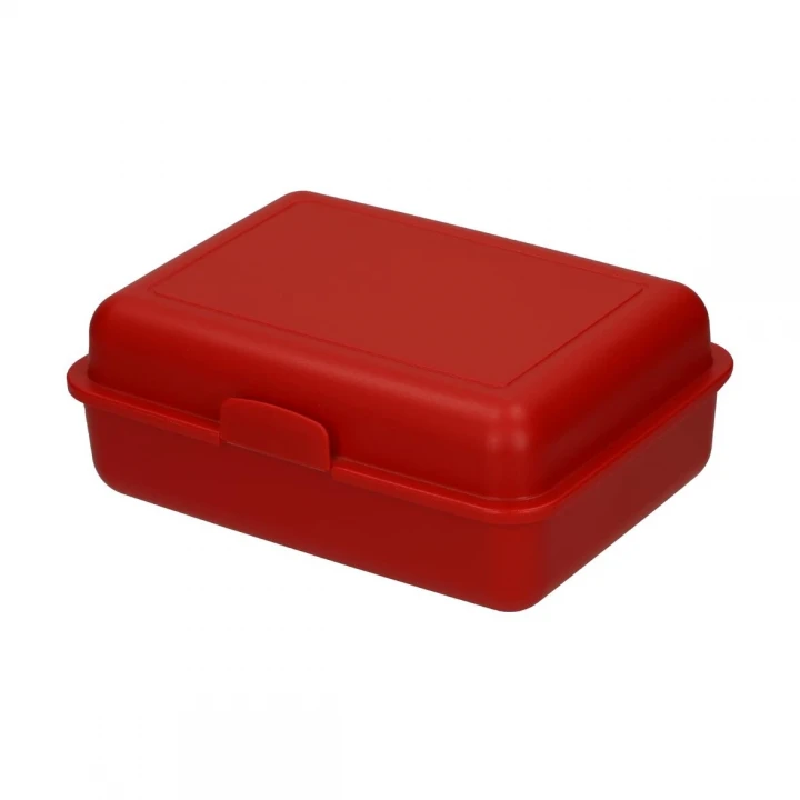 School Lunch Box Large