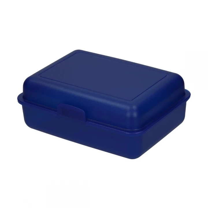 School Lunch Box Large