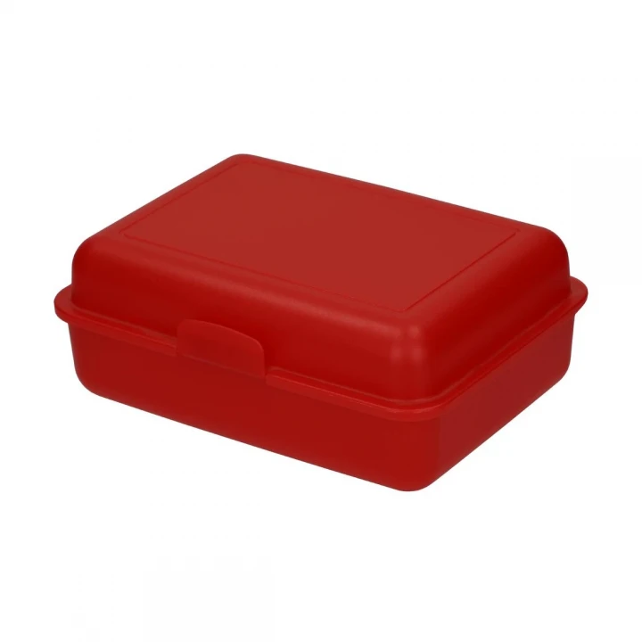 School Lunch Box Large