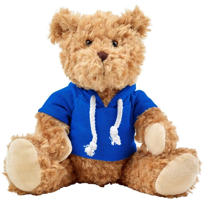 Plush teddy bear with hoodie