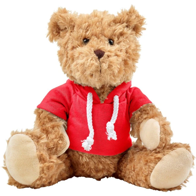 Plush teddy bear with hoodie