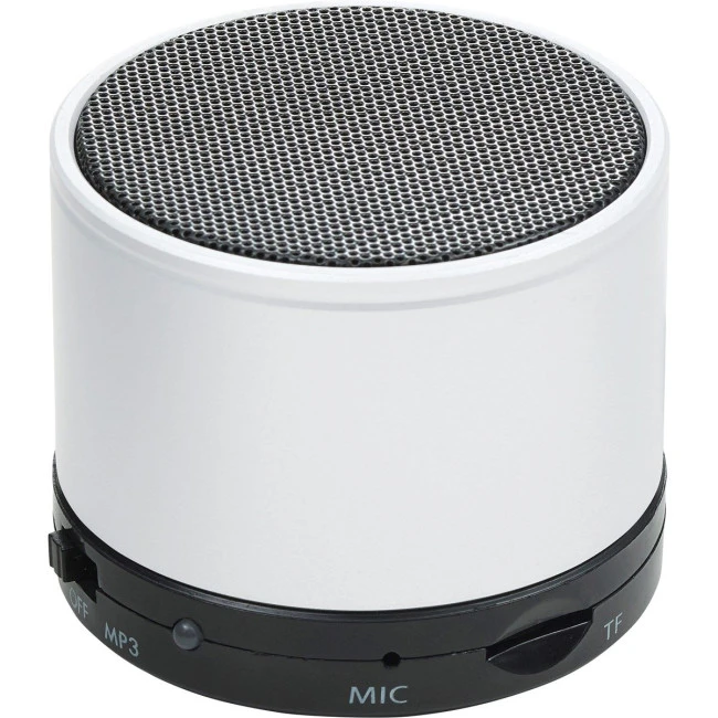 Wireless speaker