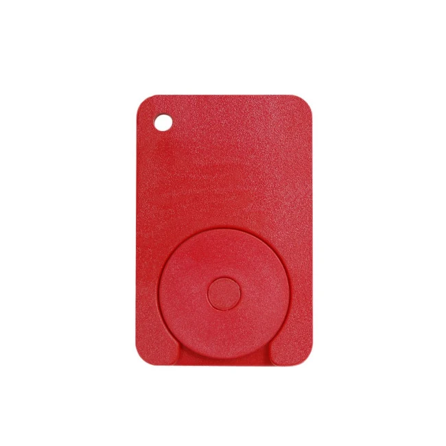 Chip Keyring 