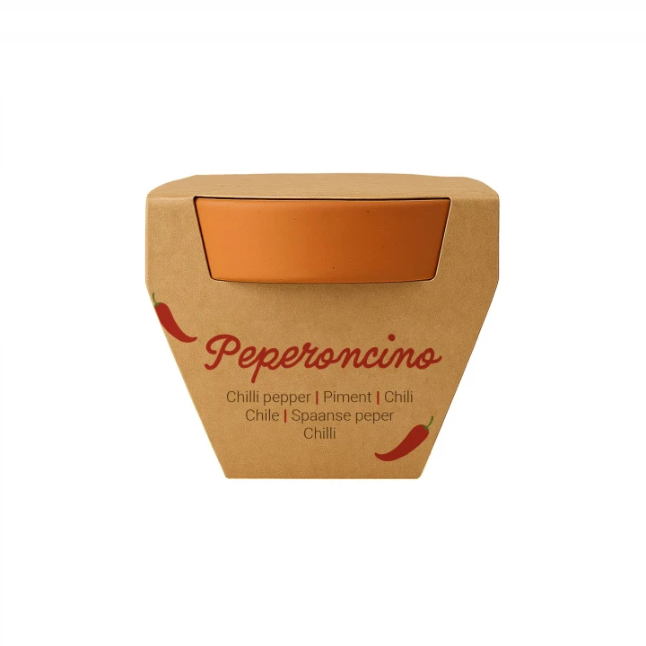 Sustainable Living Tiny Terracotta Plant Kit