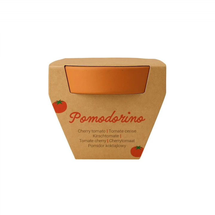 Sustainable Living Tiny Terracotta Plant Kit