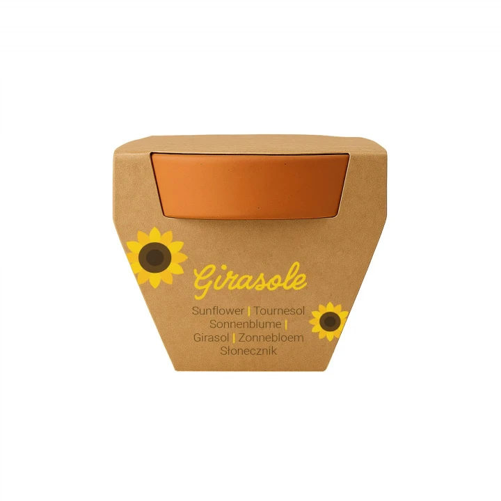 Sustainable Living Tiny Terracotta Plant Kit