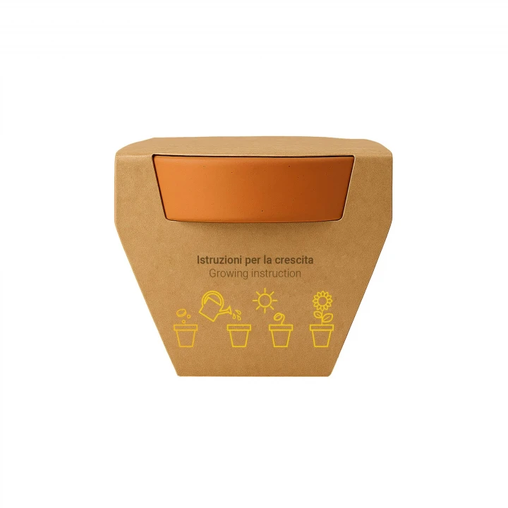 Sustainable Living Tiny Terracotta Plant Kit
