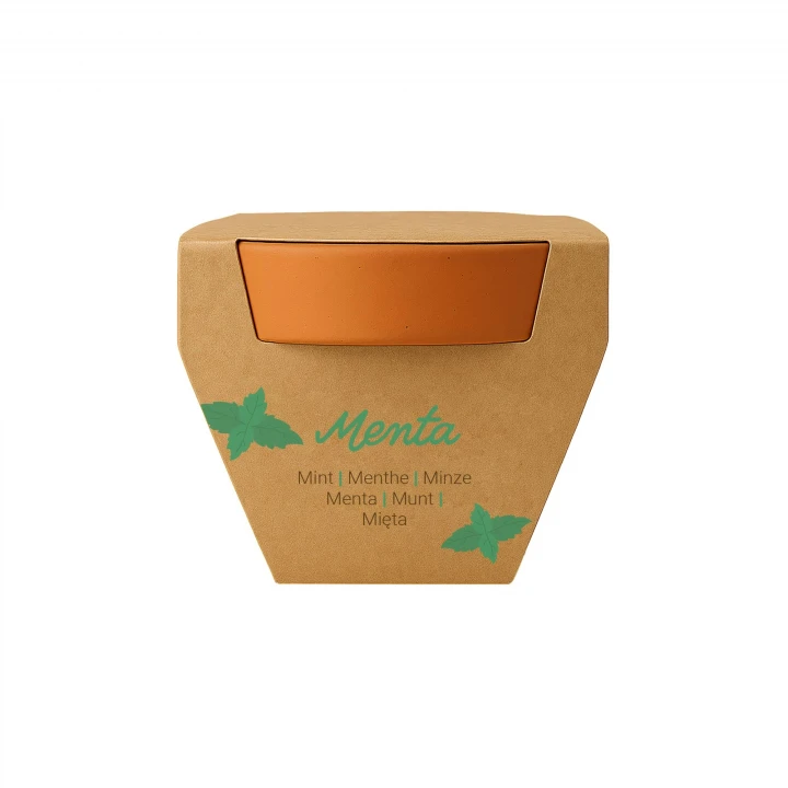 Sustainable Living Tiny Terracotta Plant Kit