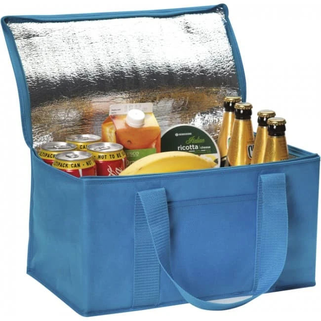 Rainham 12 Can Cooler Bag.
