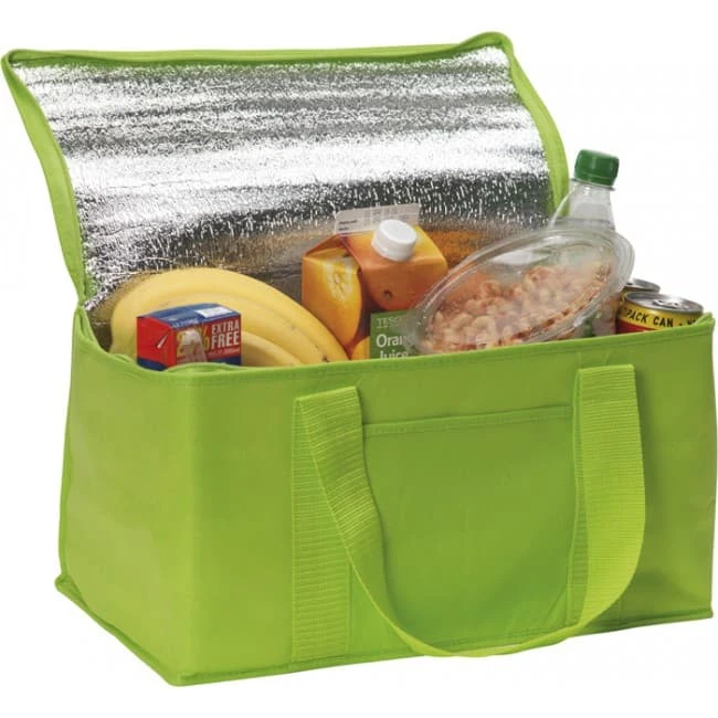 Rainham 12 Can Cooler Bag.