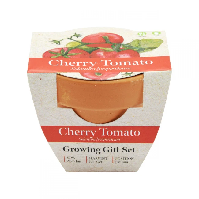 Green & Good Tiny Terracotta Pot