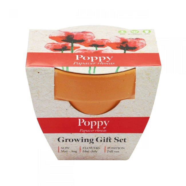 Green & Good Tiny Terracotta Pot