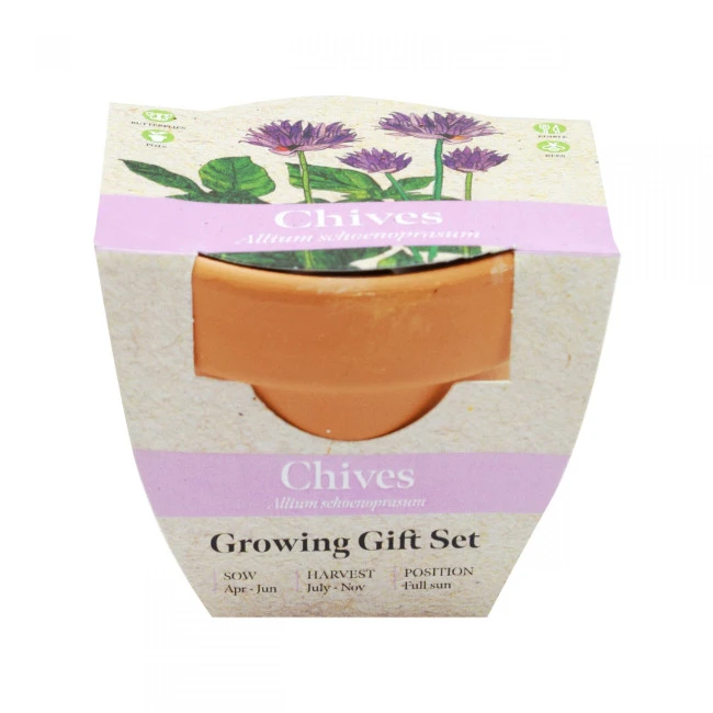 Green & Good Tiny Terracotta Pot
