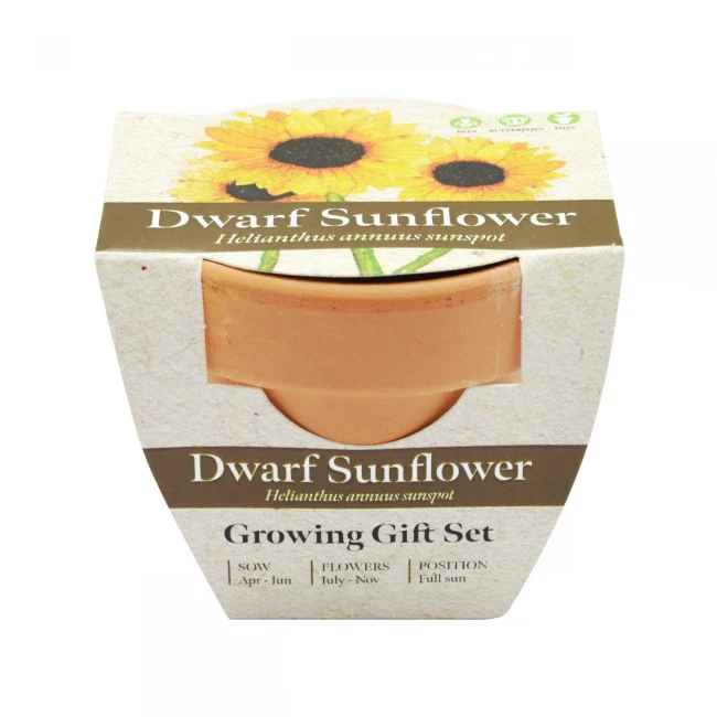 Green & Good Tiny Terracotta Pot