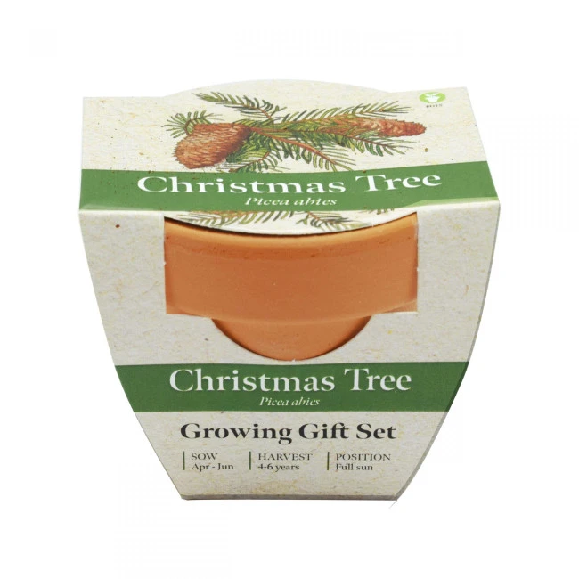 Green & Good Tiny Terracotta Pot