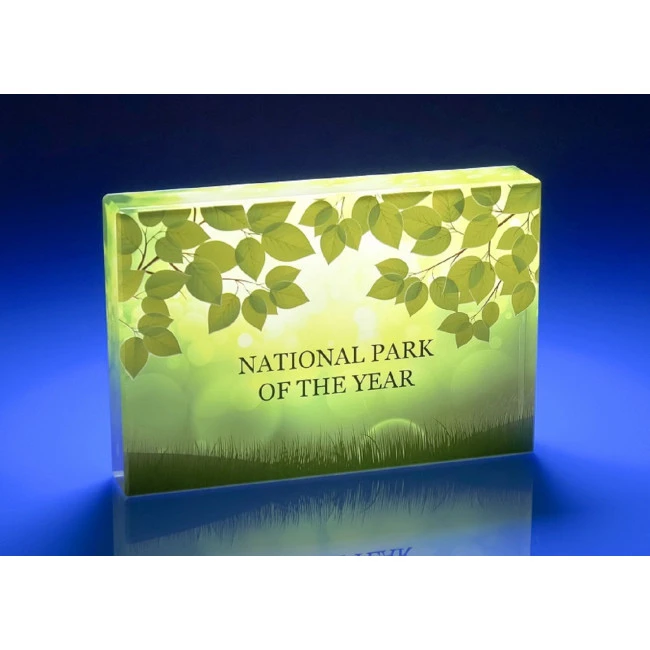 Plaque Crystal Award, 120
