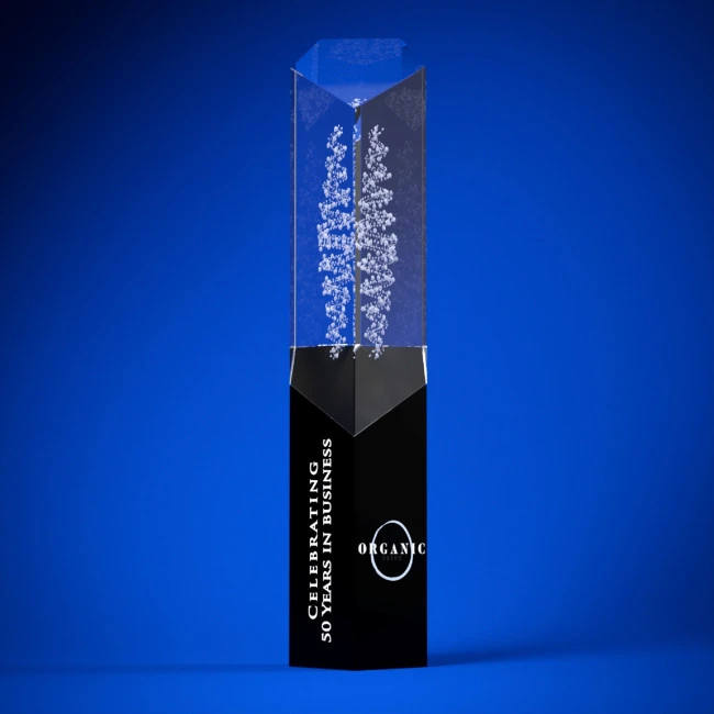 Magna Crystal Award
