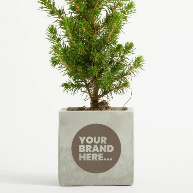 Christmas Tree in Marble Concrete Pot