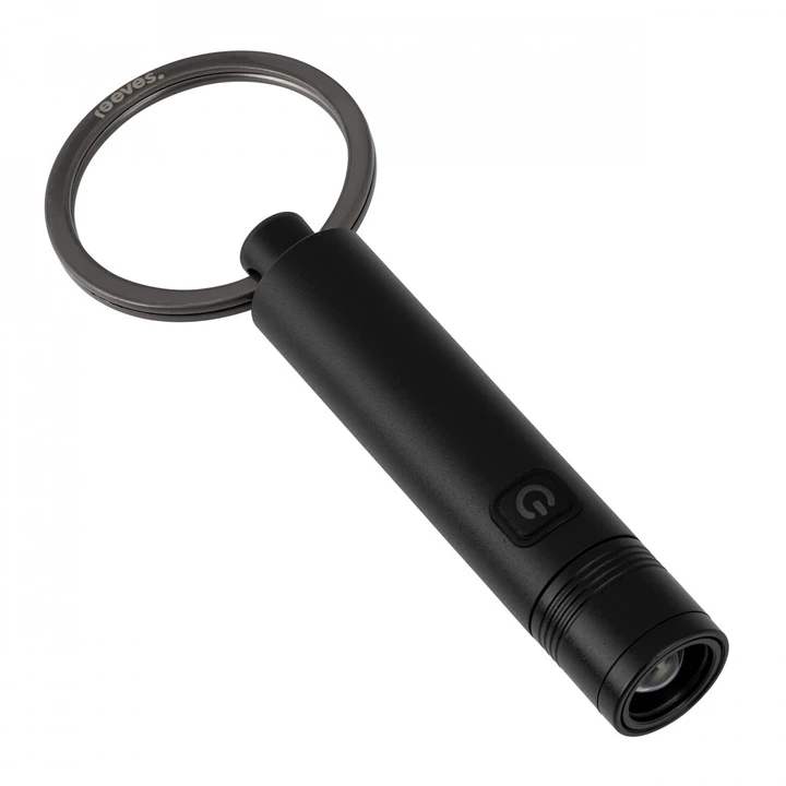 Keyring With Rechargeable LED Flashlight
