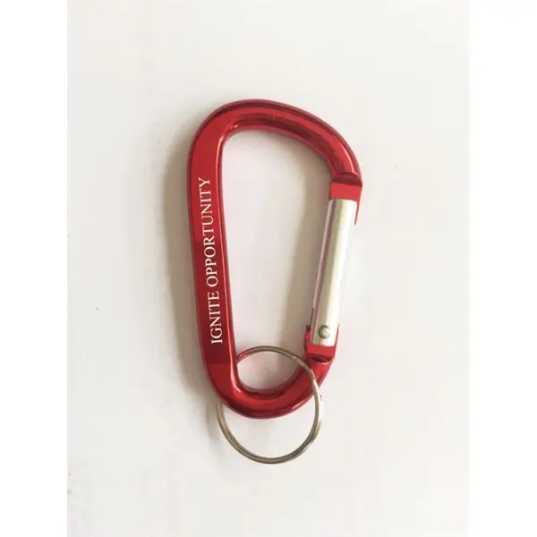 Aluminum Carabiner With Key Ring