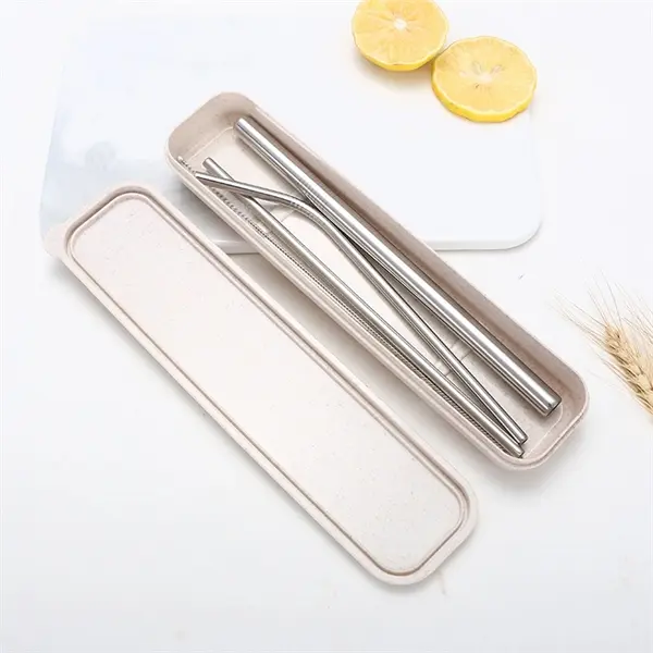 Steel Straw with Brush Box Kit