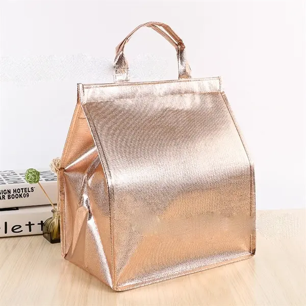 Non Woven Lunch Cooler