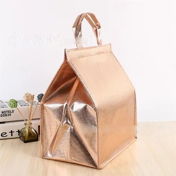 Non Woven Lunch Cooler
