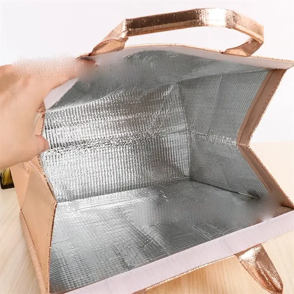 Non Woven Lunch Cooler