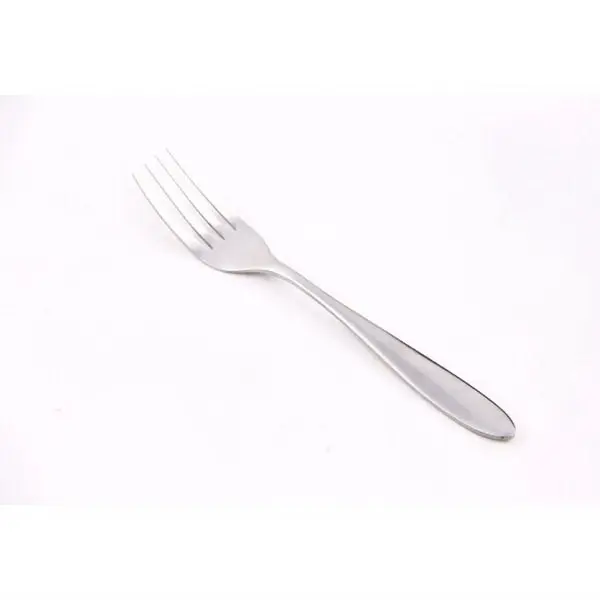 Stainless steel fork