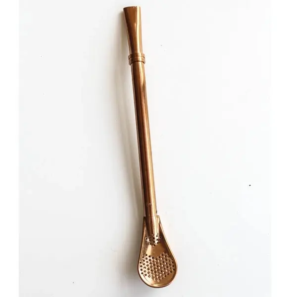 2 in 1 Stainless Steel Spoon and Drinking Straw