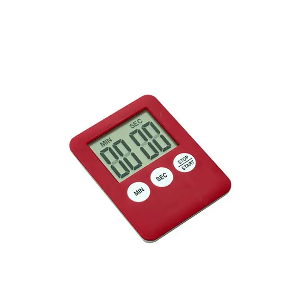 Electronic timer