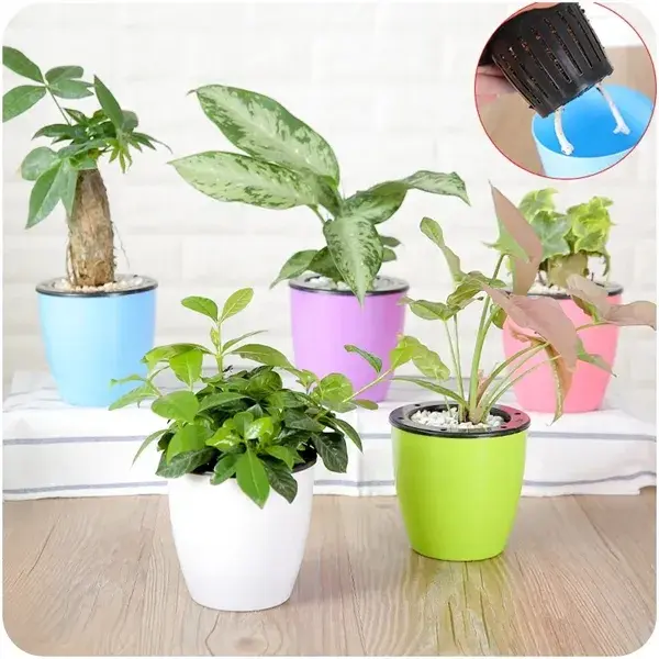 Colorful Automatic Self-watering Planter Pot