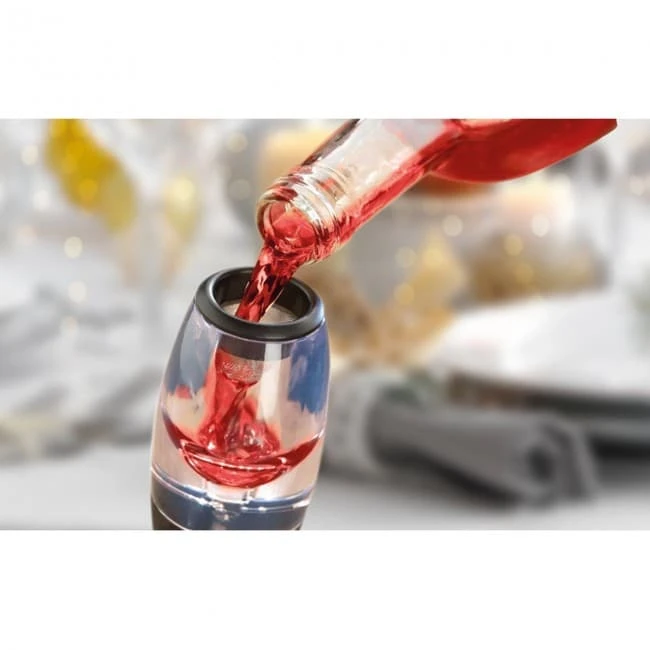 Wine decanter with holder