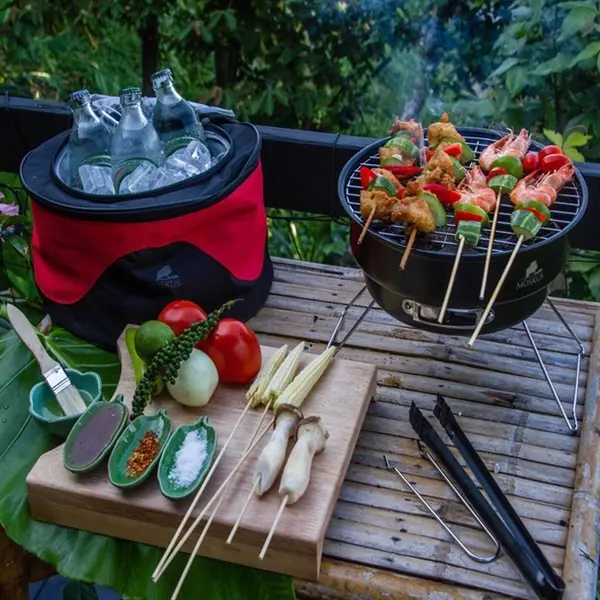 Portable Barbeque Grill with Cooler