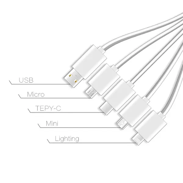 4 In 1 Charging Buddy