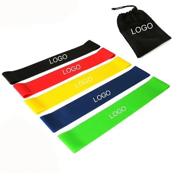 Resistance Loop with Carry Bag