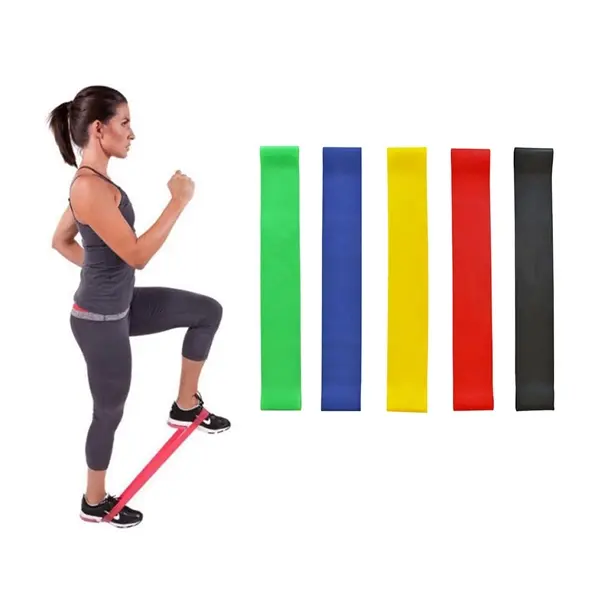 Resistance Loop with Carry Bag