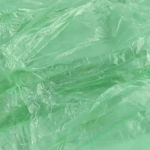 Disposable Protective Adult Raincoat