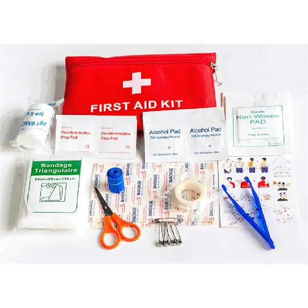 39-Piece Travel First Aid Kit
