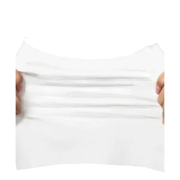 100PCS 75% Alcohol Disinfection wipes