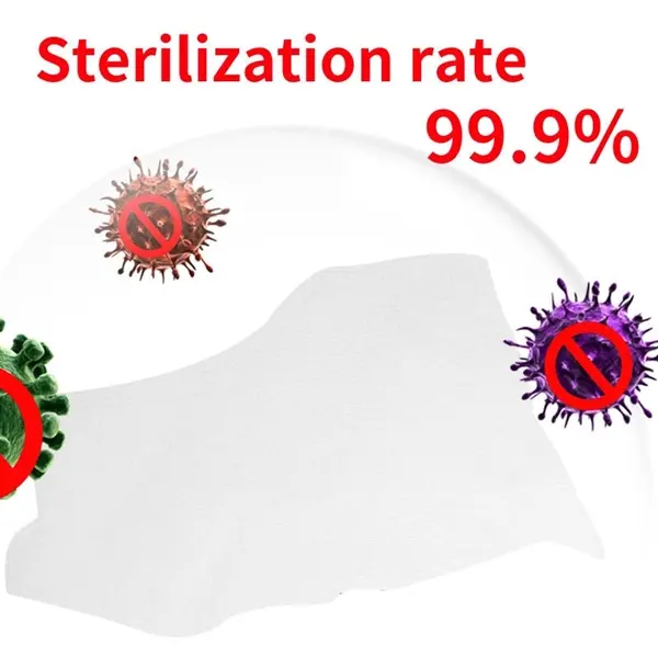 120Pcs 75% Sanitizing Wipes With MSDS
