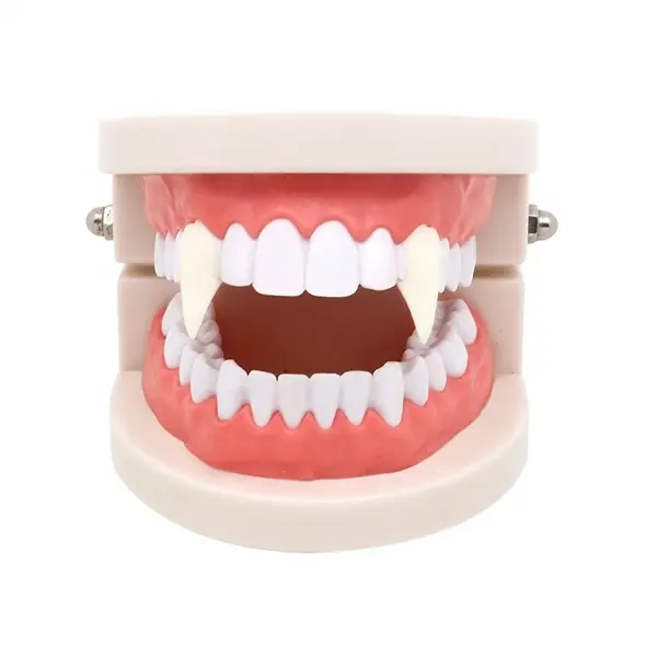 Halloween White Vampire Fangs